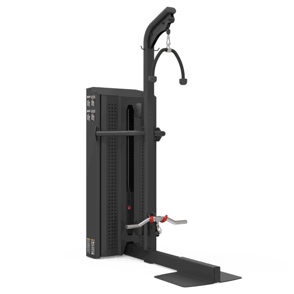 Standing Tricep / Bicep